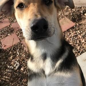 Meet your Posher, Audrey